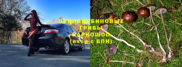 стаф Алексеевка