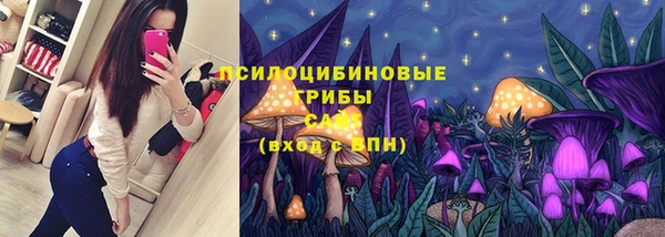 прущие крисы Алексин